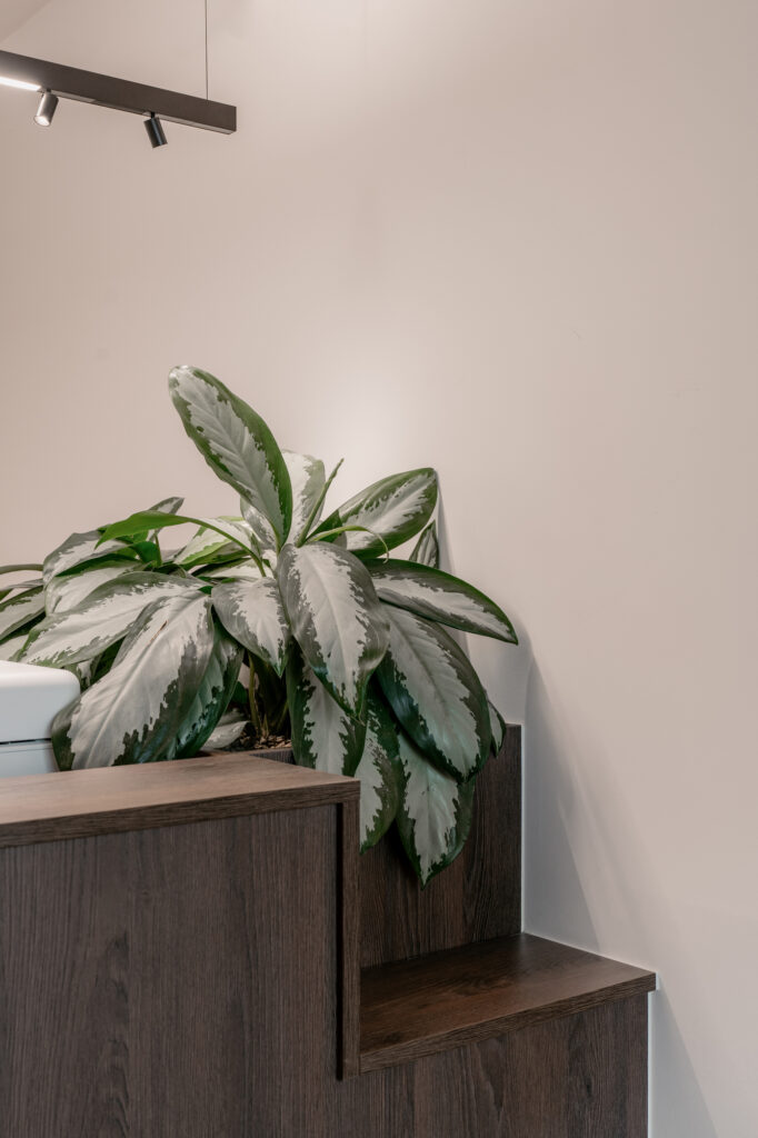 verlichting dermatologisch centrum